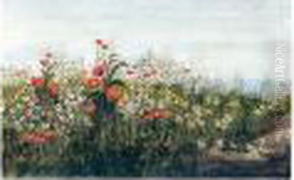 A Poppy Field By The Sea Oil Painting by Andrew Nicholl