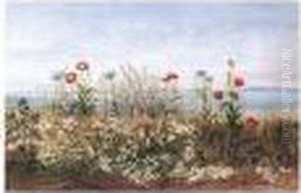 View Of Howth, Co.dublin Through A Poppy Field Oil Painting by Andrew Nicholl