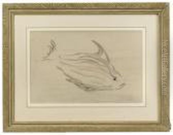 Swimming Fish Oil Painting by William Nicholson