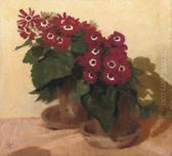 Red Cinerarias Oil Painting by William Nicholson