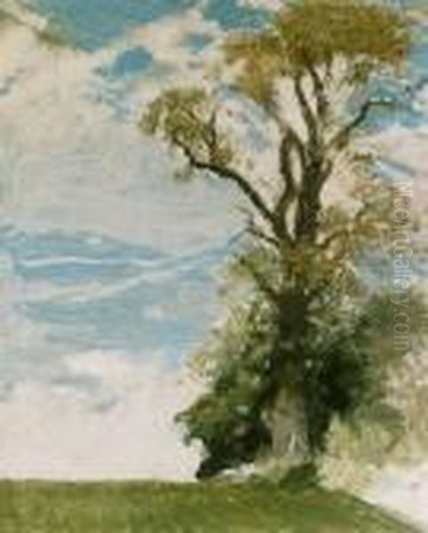 The Old Elm, The Homestead, Blewbury, Berkshire Oil Painting by William Nicholson