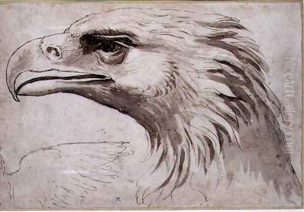 Head of an Eagle, c.1527-8 Oil Painting by Giulio Romano (Orbetto)