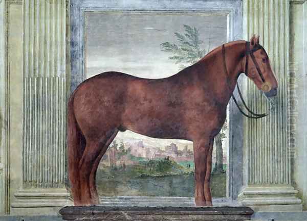 Sala dei Cavalli, detail showing a portrait of a chestnut horse from the stables of Ludovico Gonzaga III of Mantua, its cheek branded with a G, 1528 Oil Painting by Giulio Romano (Orbetto)