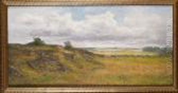 Landskap, Halland Oil Painting by Severin Nilson