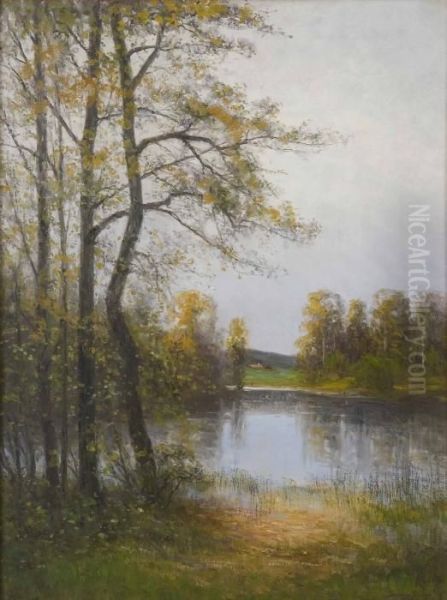 Sjolandskap I Kolmarden Oil Painting by Severin Nilson