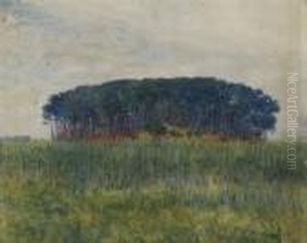 La Foresta Di Tombolo Oil Painting by Plinio Nomellini