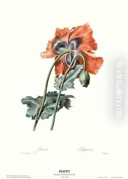 Poppy Oil Painting by Pierre-Joseph Redoute