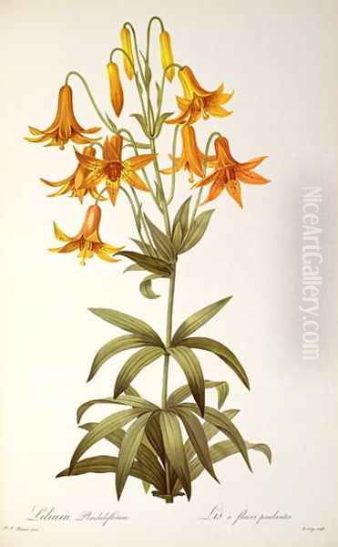 Lilium Penduliflorum, from Les Liliacees, 1811 Oil Painting by Pierre-Joseph Redoute