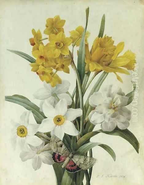 A bouquet of daffodils and narcissi with a red underwing moth Oil Painting by Pierre-Joseph Redoute