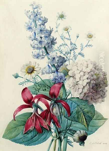 Hydrangea, hyacinths, Saint-Jacques lilies and daisies Oil Painting by Pierre-Joseph Redoute