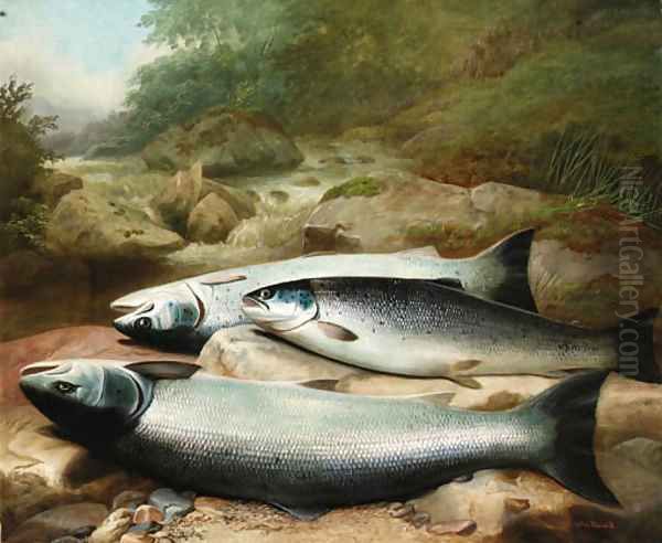 Three Salmon on a Rocky Riverbank Oil Painting by John Russell