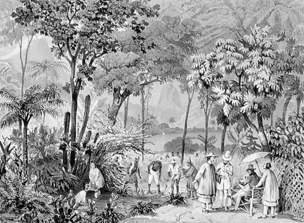 The Chinese Tea Plantation in the Botanic Gardens at Rio de Janeiro, engraved by Leon Jean Baptiste Sabatier fl.1827-87 and Victor Adam 1801-66 c.1835 Oil Painting by Johann Moritz Rugendas