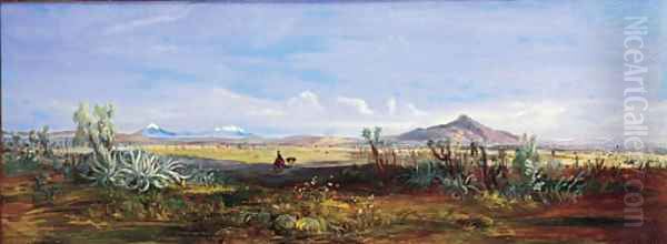 Los volcanos vistos desde Puebla Oil Painting by Johann Moritz Rugendas