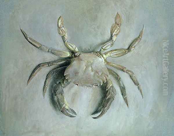 Velvet Crab, 1870-1 Oil Painting by John Ruskin