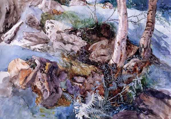 Study of the Rocks and Ferns, Crossmouth Oil Painting by John Ruskin