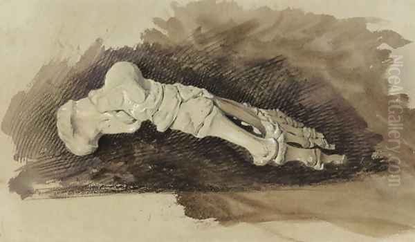 The Bones of a Female Humans Foot Oil Painting by John Ruskin