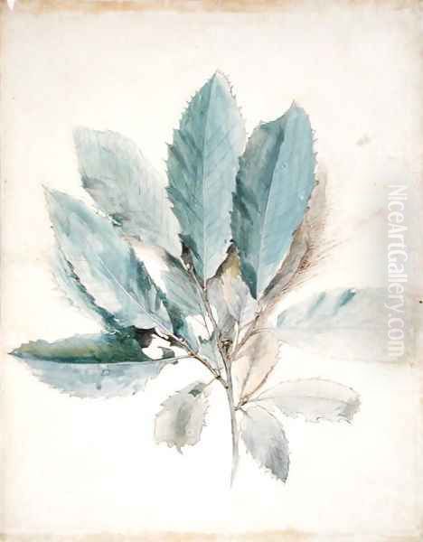 Chestnut Leaves, c.1870 Oil Painting by John Ruskin