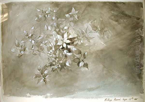 Study of foliage, 1845 Oil Painting by John Ruskin