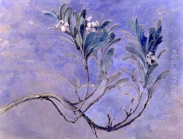 Study of a Sprig of a Myrtle Tree, c.1877 Oil Painting by John Ruskin