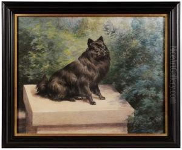 Portrait Of A Pomeranian Oil Painting by Edmund Henry Osthaus