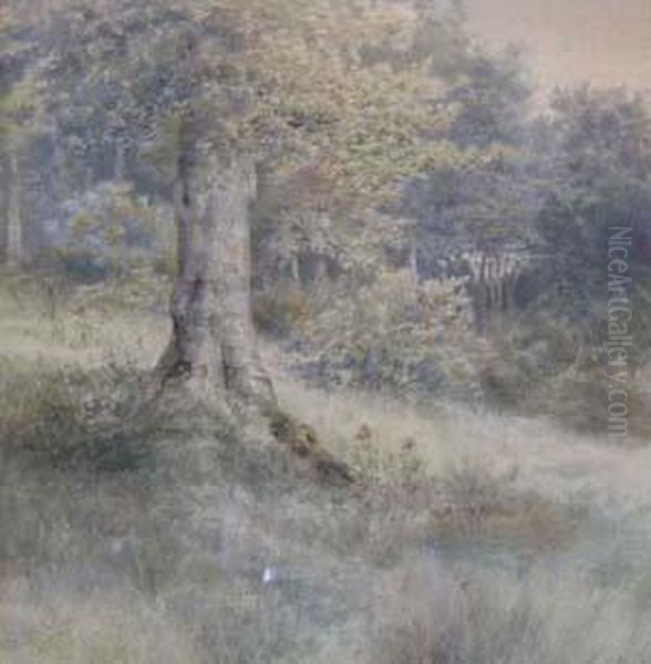 Landscape With Tree Oil Painting by Edmund Henry Osthaus