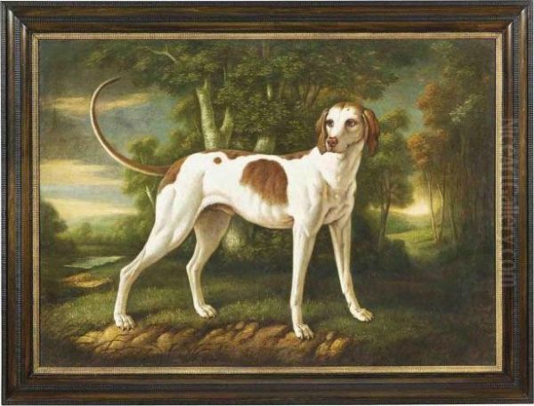 A French Hunting Dog In A Wooded River Landscape Oil Painting by Jean-Baptiste Oudry