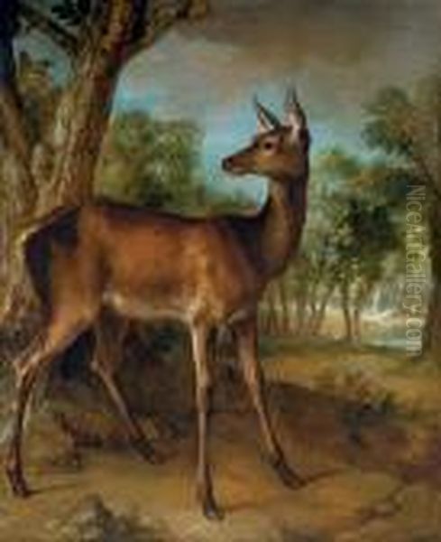 The Watchful Doe ('biche Aux Augets') Oil Painting by Jean-Baptiste Oudry