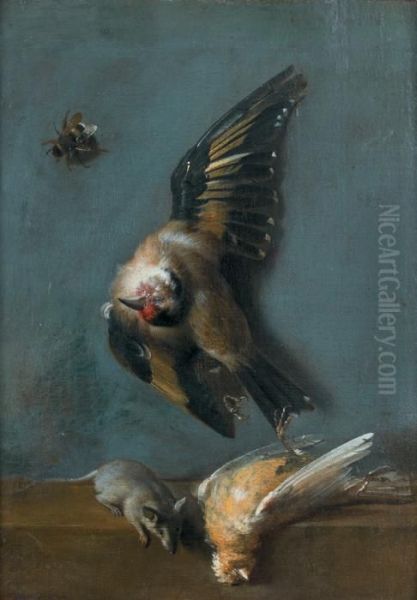 Nature Morte Aux Oiseaux, Abeille Et Musaraigne Oil Painting by Jean-Baptiste Oudry