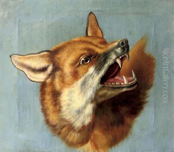 The Head Of A Fox: A Study Oil Painting by Jean-Baptiste Oudry