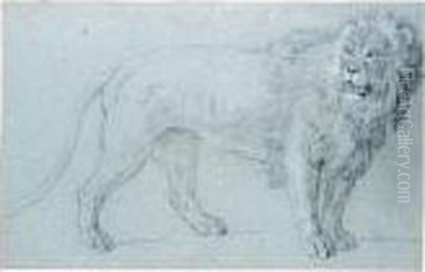 Study Of A Lion Oil Painting by Jean-Baptiste Oudry