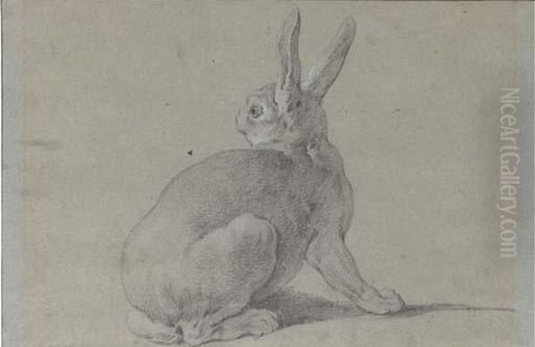 A Hare Looking Back To The Left Oil Painting by Jean-Baptiste Oudry