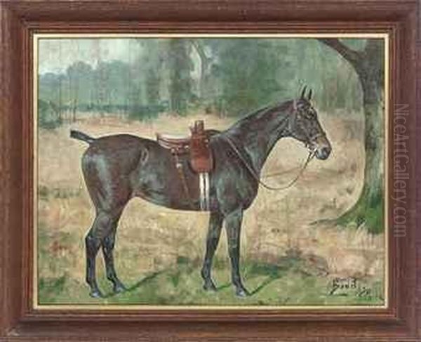 Biddy, A Saddled Dark Brown Hunter In A Landscape Oil Painting by George Paice