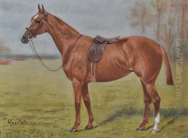 Portrait Of A Chestnut Race Horse 