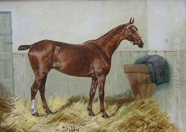 Stella Oil Painting by George Paice