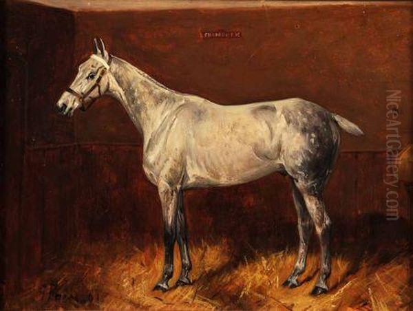 Study Of The Horse, Shamrock, In A Stable Oil Painting by George Paice