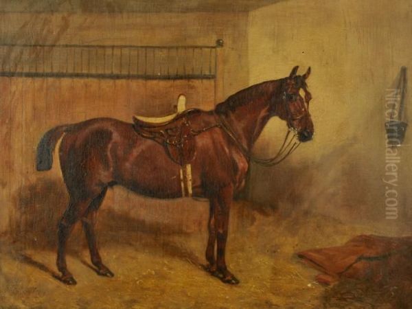 'treacle', A Chestnut Hunter In A Stable With Side-saddle Oil Painting by George Paice