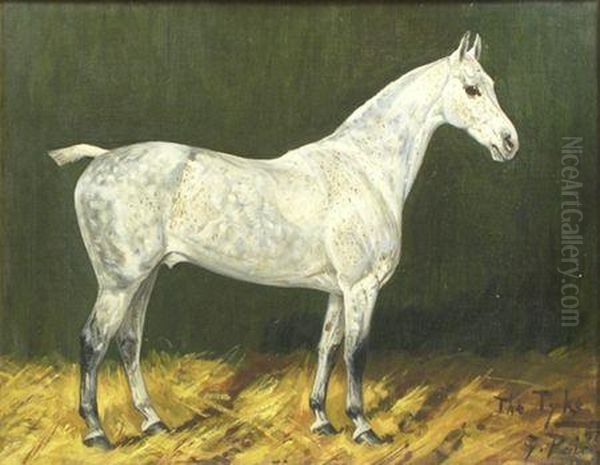 The Tyke'- A Grey Hunter In Astable Oil Painting by George Paice