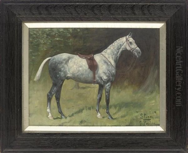 Sheldrake; And Storm Oil Painting by George Paice