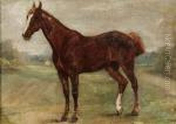 Cavallo
Cavallo Oil Painting by George Paice