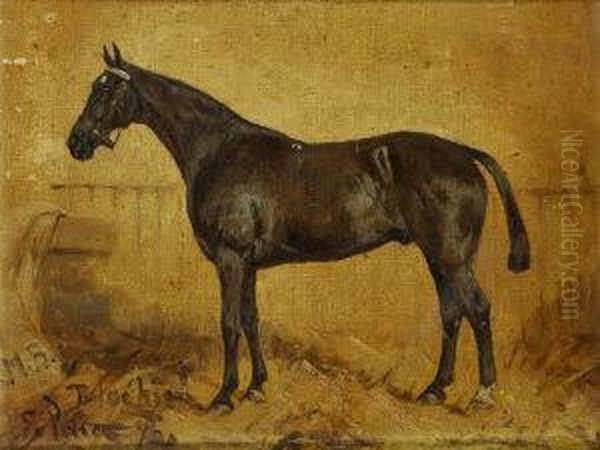 Blackie, A Dark Bay Stallion In A Stable Oil Painting by George Paice