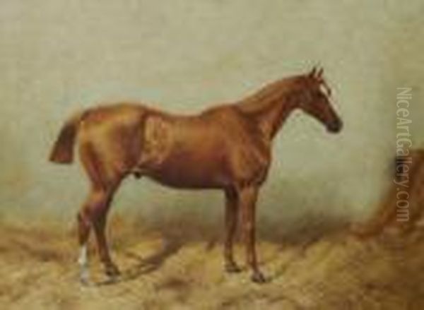 Chestnut Horse In Stable Oil Painting by George Paice