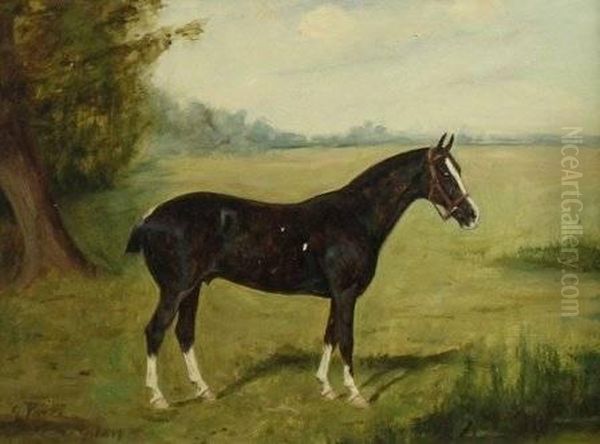 Study Of Ahorse Oil Painting by George Paice