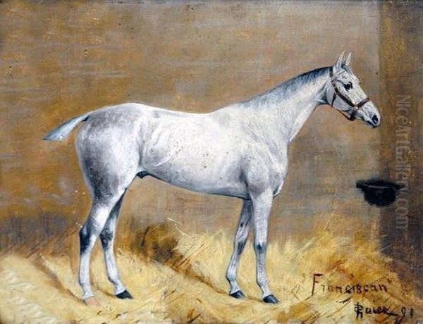 Franciscan, Study Of A Grey Horse In A Stable Interior Oil Painting by George Paice