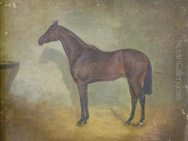 Study Of A Horse Oil Painting by George Paice