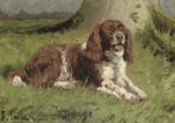 Budge, A Spaniel Oil Painting by George Paice