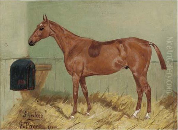 Shaker Oil Painting by George Paice