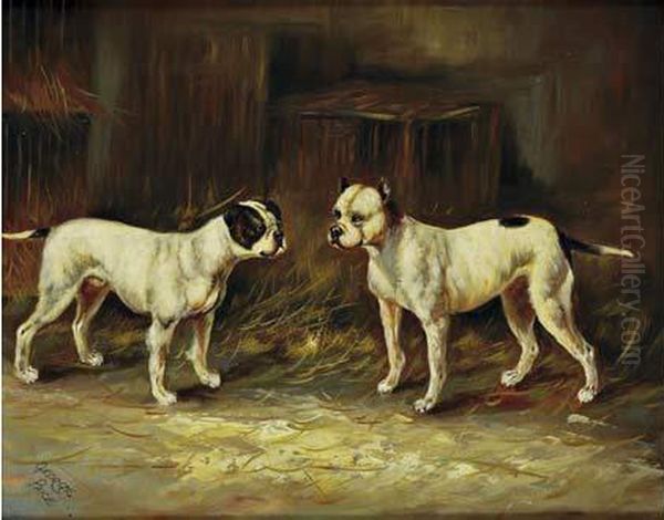  Les Boston Terriers  Oil Painting by George Paice