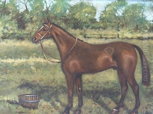 A Bay Pony In A Paddock Oil Painting by George Paice