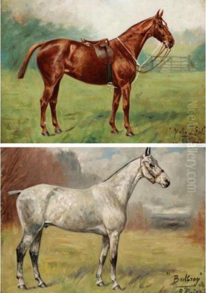 Six Horse Portraits Oil Painting by George Paice