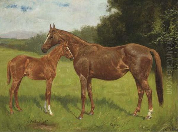 Opera, A Chestnut Mare With A Foal Oil Painting by George Paice